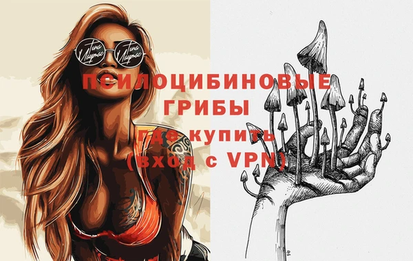 прущие грибы Алексин