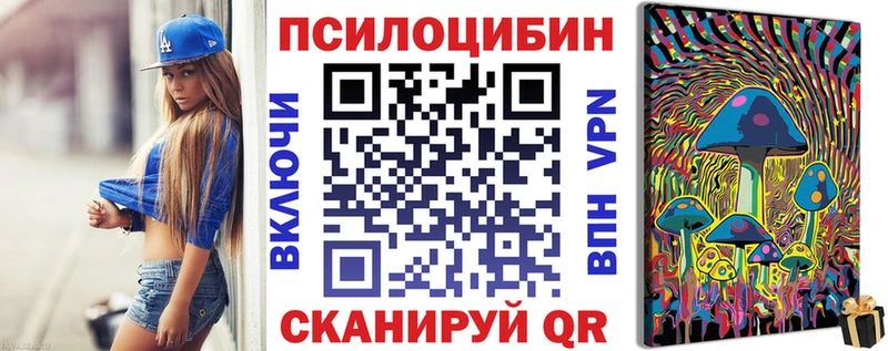 Галлюциногенные грибы Psilocybe Шелехов