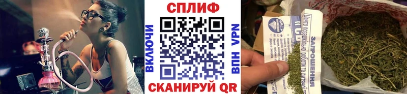 дарнет шоп  Шелехов  Канабис OG Kush 